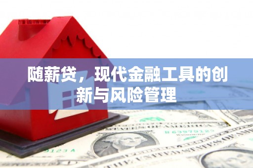 栖霞随薪贷，现代金融工具的创新与风险管理