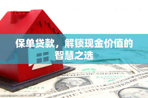 栖霞保单贷款，解锁现金价值的智慧之选