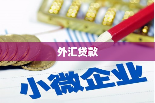 栖霞外汇贷款
