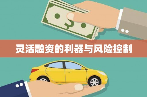 栖霞灵活融资的利器与风险控制