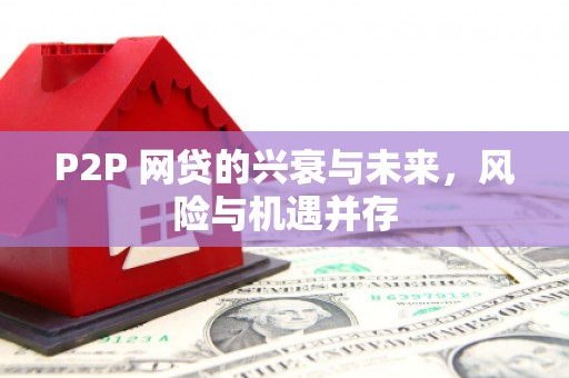 栖霞P2P 网贷的兴衰与未来，风险与机遇并存