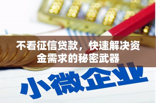 栖霞不看征信贷款，快速解决资金需求的秘密武器