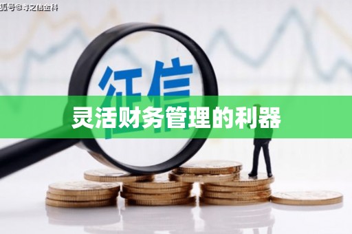 栖霞灵活财务管理的利器