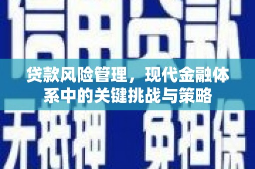 栖霞贷款风险管理，现代金融体系中的关键挑战与策略