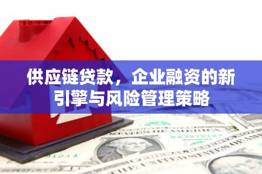 栖霞供应链贷款，企业融资的新引擎与风险管理策略