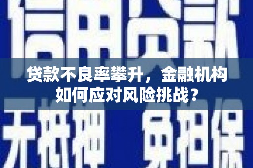 栖霞贷款不良率攀升，金融机构如何应对风险挑战？