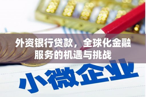 栖霞外资银行贷款，全球化金融服务的机遇与挑战