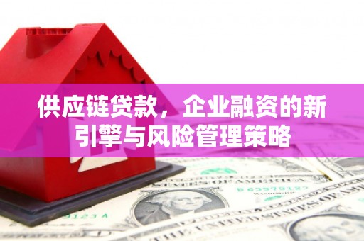 栖霞供应链贷款，企业融资的新引擎与风险管理策略