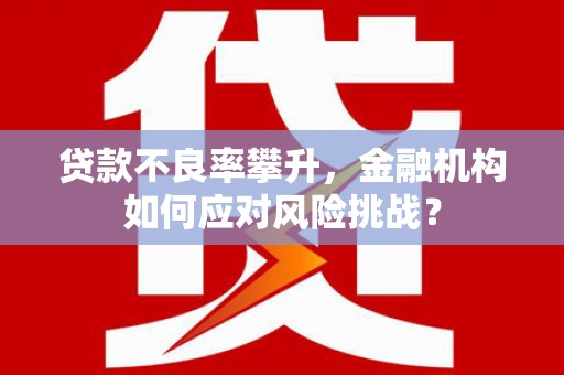 栖霞贷款不良率攀升，金融机构如何应对风险挑战？