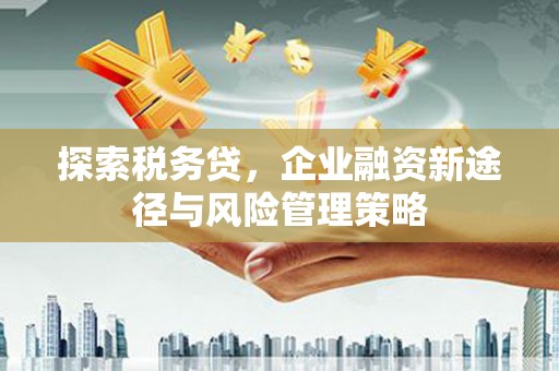栖霞探索税务贷，企业融资新途径与风险管理策略