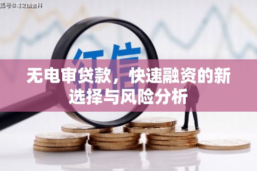 栖霞无电审贷款，快速融资的新选择与风险分析