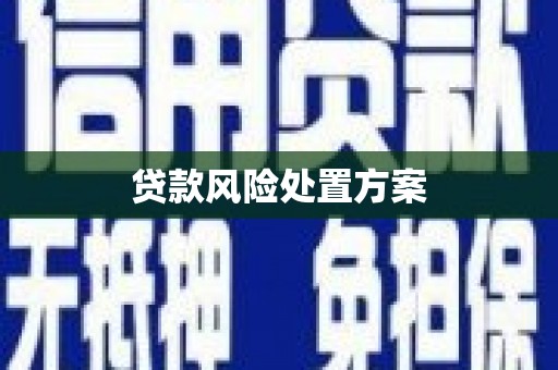 栖霞贷款风险处置方案
