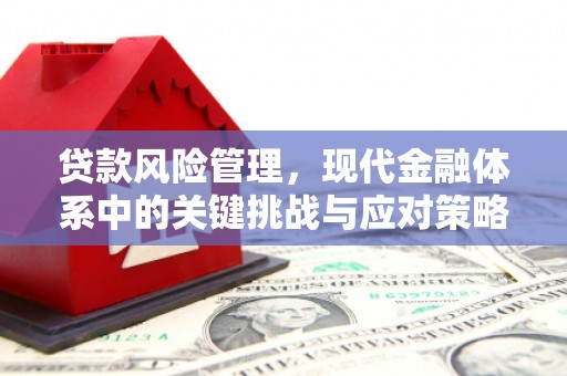 栖霞贷款风险管理，现代金融体系中的关键挑战与应对策略