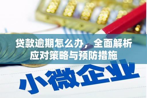 栖霞贷款逾期怎么办，全面解析应对策略与预防措施