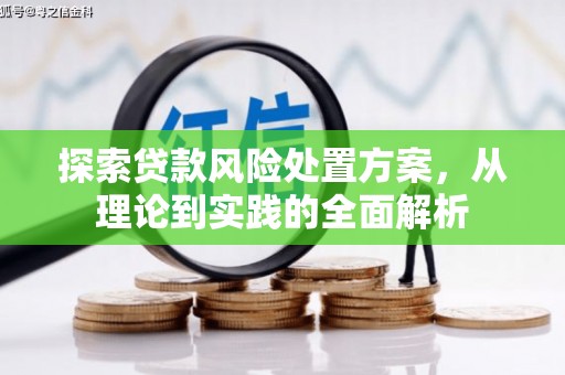 栖霞探索贷款风险处置方案，从理论到实践的全面解析