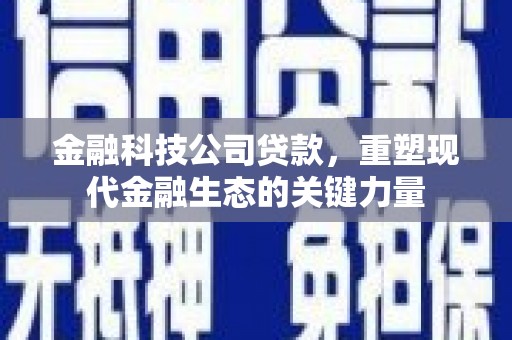 栖霞金融科技公司贷款，重塑现代金融生态的关键力量