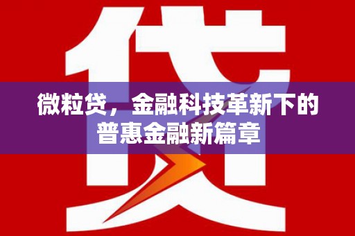 栖霞微粒贷，金融科技革新下的普惠金融新篇章