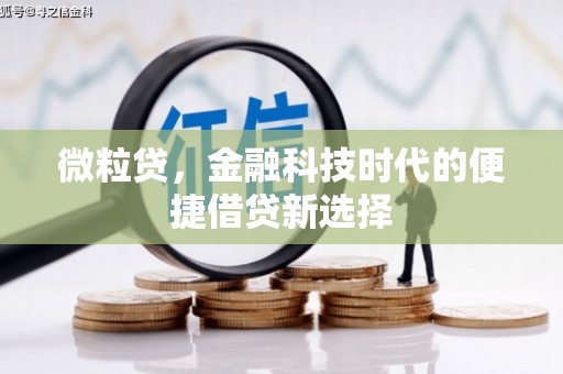 栖霞微粒贷，金融科技时代的便捷借贷新选择