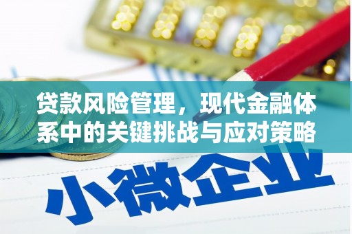 栖霞贷款风险管理，现代金融体系中的关键挑战与应对策略