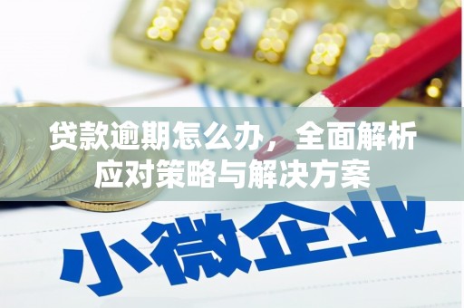 栖霞贷款逾期怎么办，全面解析应对策略与解决方案